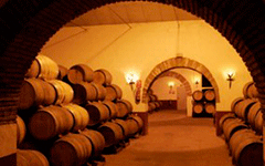 vinicolanavarra