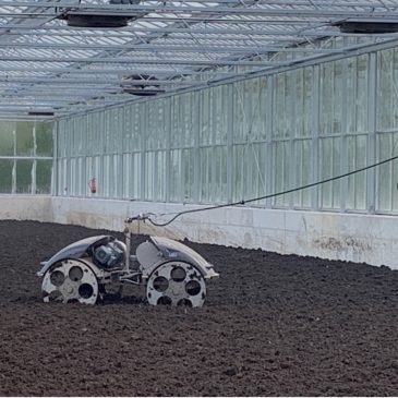 Grandes Proyectos 2024. Secado Solar de Lodos en Tenerife