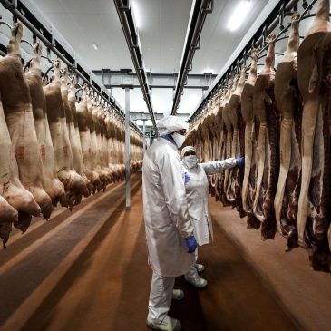 Cárnicas Iruña consolida su crecimiento en Lumbier